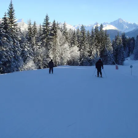 Terrasse Du Mtblanc *