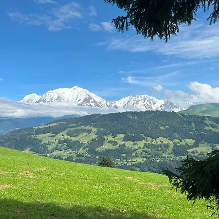 Terrasse Du Mtblanc Lägenhet Combloux