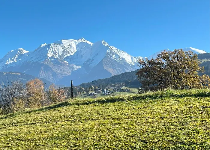 Terrasse Du Mtblanc * Combloux