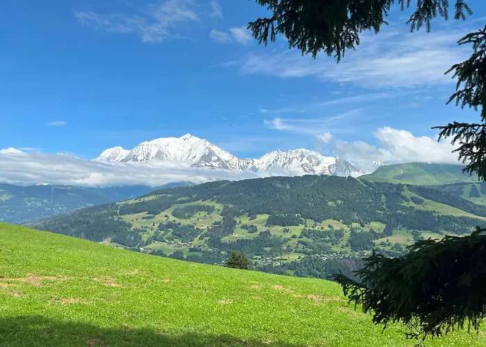 Terrasse Du Mtblanc Lejlighed Combloux